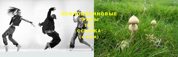 молекула духа Гусиноозёрск
