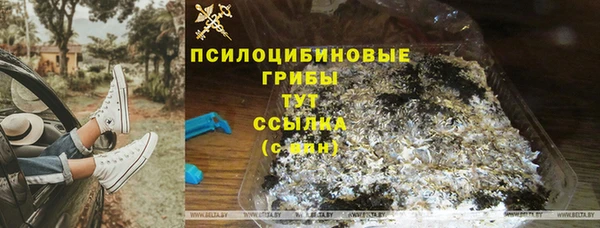 PSILOCYBIN Гусев