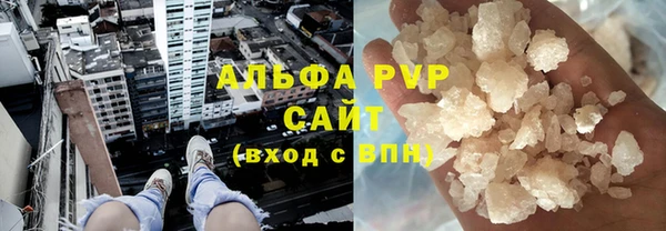 PSILOCYBIN Гусев