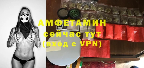 молекула духа Гусиноозёрск
