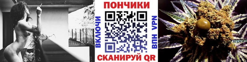 Конопля индика  Ессентукская 